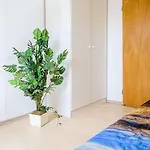 Nordstern * 京斯特