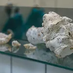 Nordstern 宾馆 京斯特